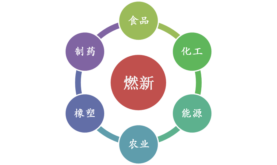 真空输送机